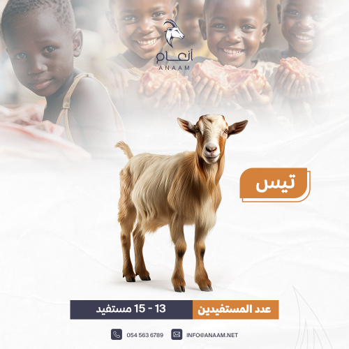 تيس