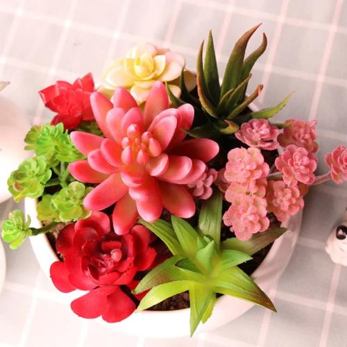نباتات عصارية صناعية صغيرة