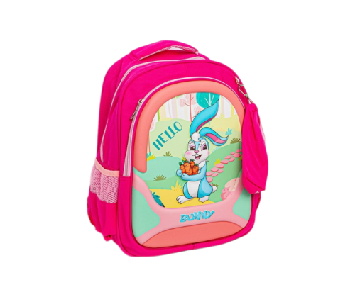 شنطة مدرسية