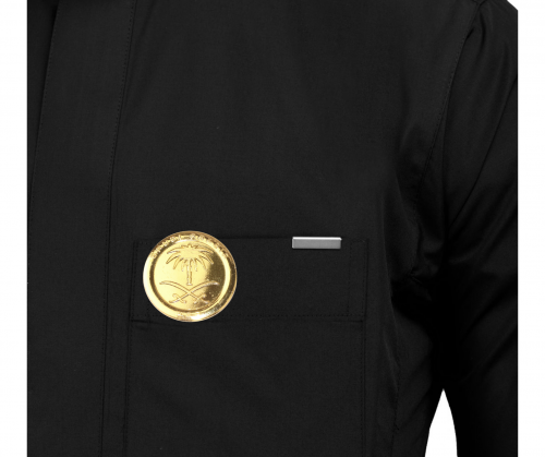 بروش سيفين ونخلة