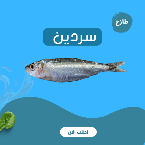 سردين