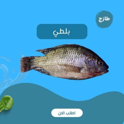 بلطي وسط