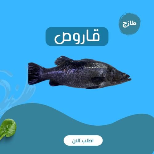 قاروص