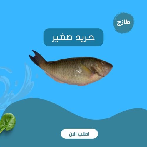 حريد صغير