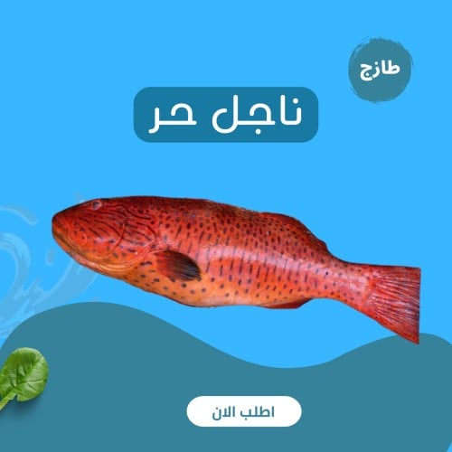 ناجل