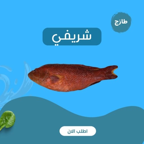 شريفي