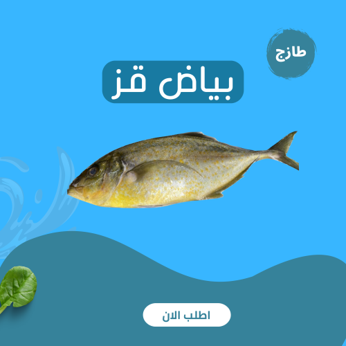 بياض القز