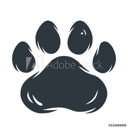 سكوتش ترييبل فولد رمادي فاتح