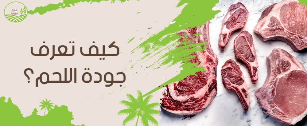 كيف تعرف جودة اللحم.. نصائح تساعدك على اختيار النوع الأفضل