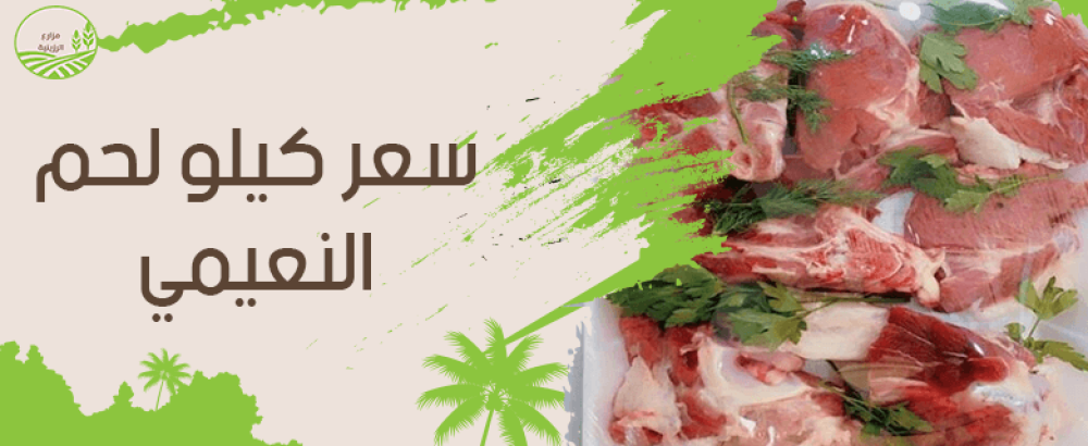 ما هي العوامل المتحكمة في سعر كيلو لحم النعيمي؟