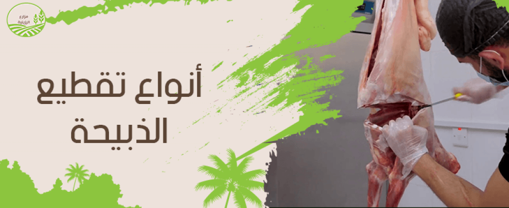 انواع تقطيع الذبيحة واستخداماتها