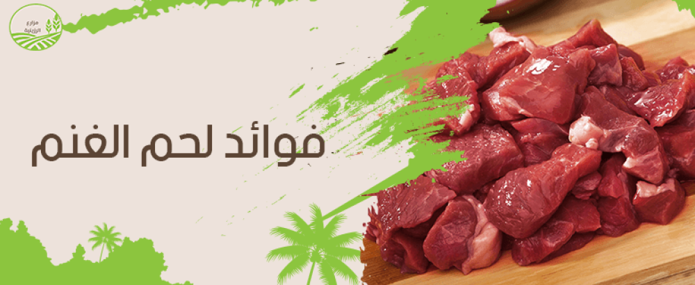 فوائد لحم الغنم.. غذاء متكامل بطعم فاخر وفوائد صحية مذهلة