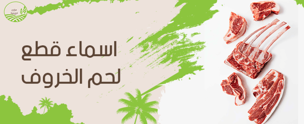 اسماء قطع لحم الخروف واستخداماتها