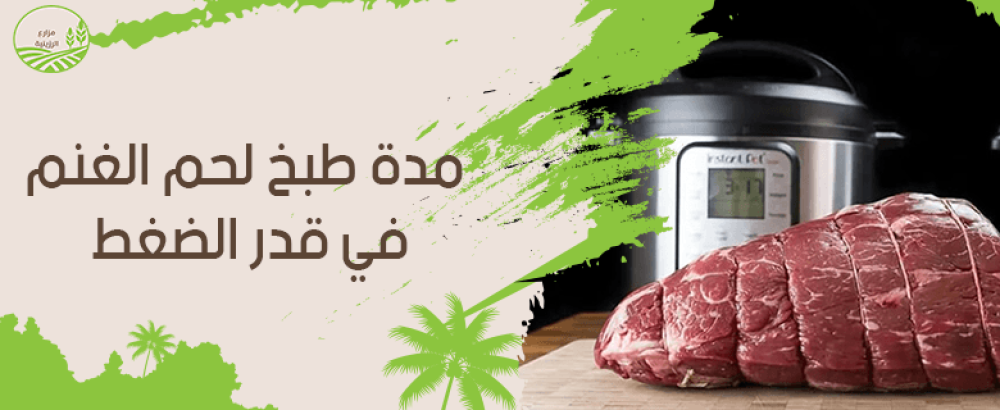 مدة طبخ لحم الغنم في قدر الضغط والعوامل المؤثرة عليها