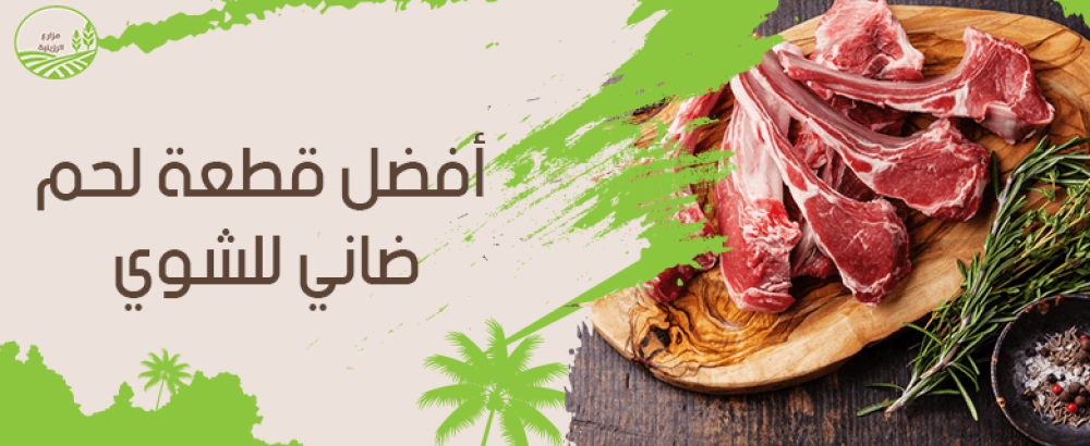 تعرف على أفضل قطعة لحم ضاني للشوي