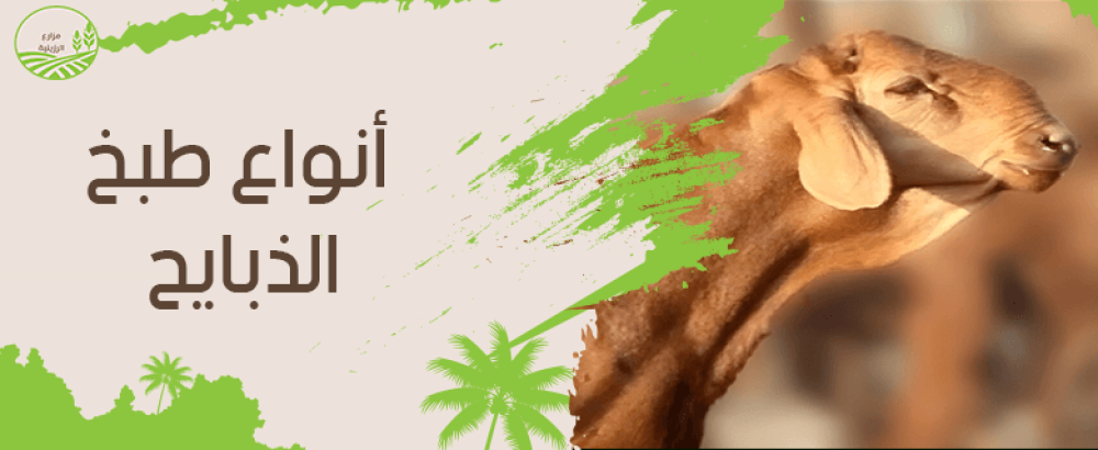 قائمة انواع طبخ الذبايح وطريقة تحضيرها