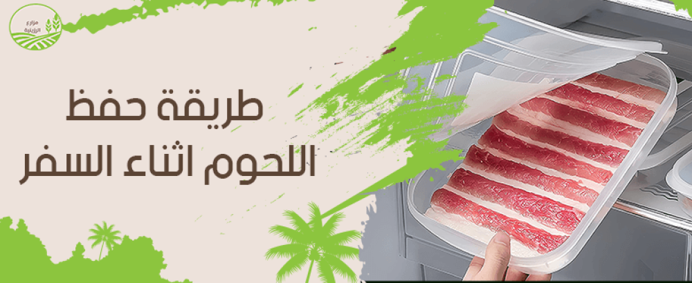 طريقة حفظ اللحوم اثناء السفر.. إليكم الكيفية المناسبة