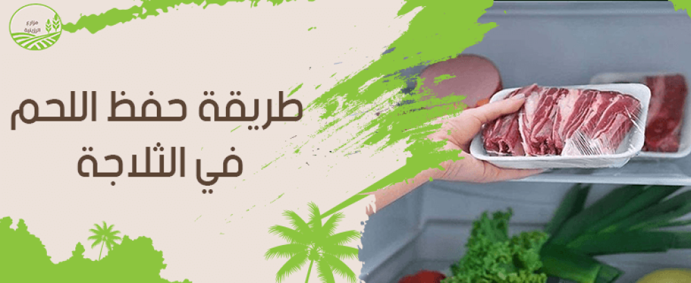 طريقة حفظ اللحم في الثلاجة