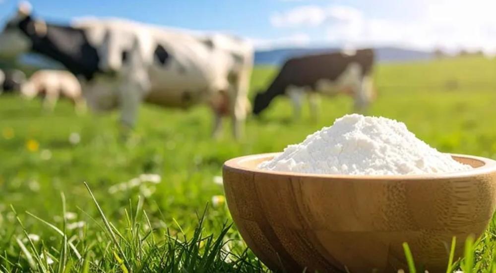 كولاجين بقري