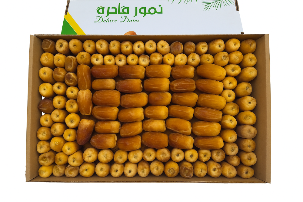 تمر صقعي مبروم