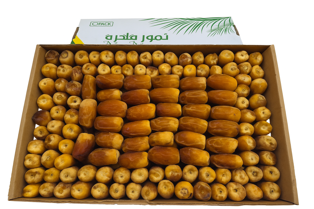 تمر صقعي مبروم