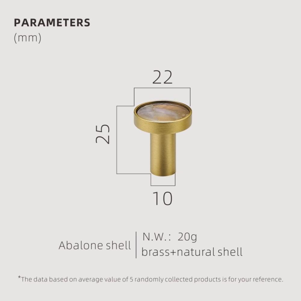 Abalone shell-S