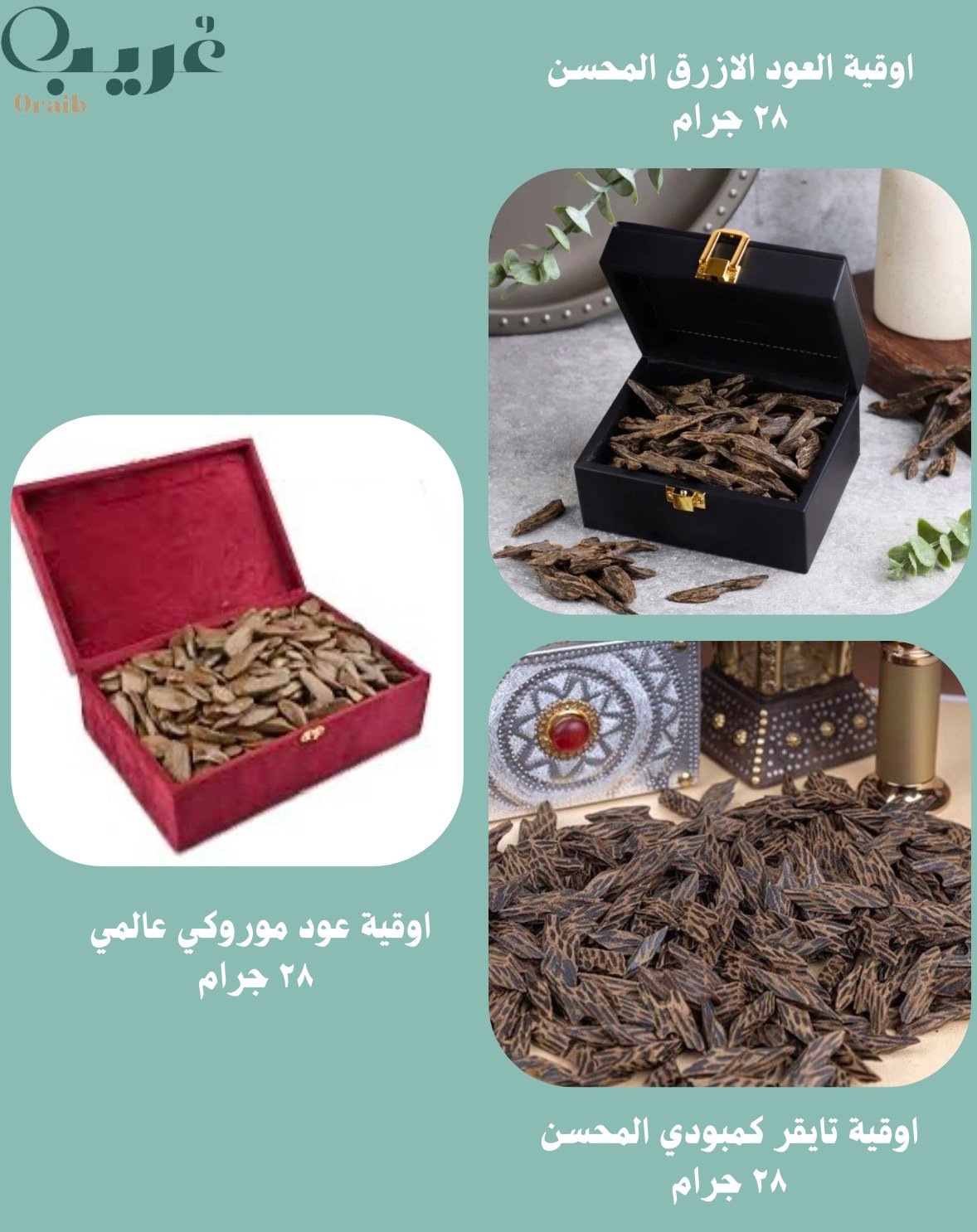 عود الأزرق المحسن + عود موروكي عالمي محسن + عود تا...