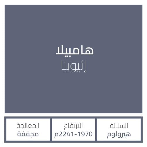 اثيوبيا هامبيلا 1kg