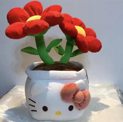 نبتة هيلوكيتي | Hello Kitty