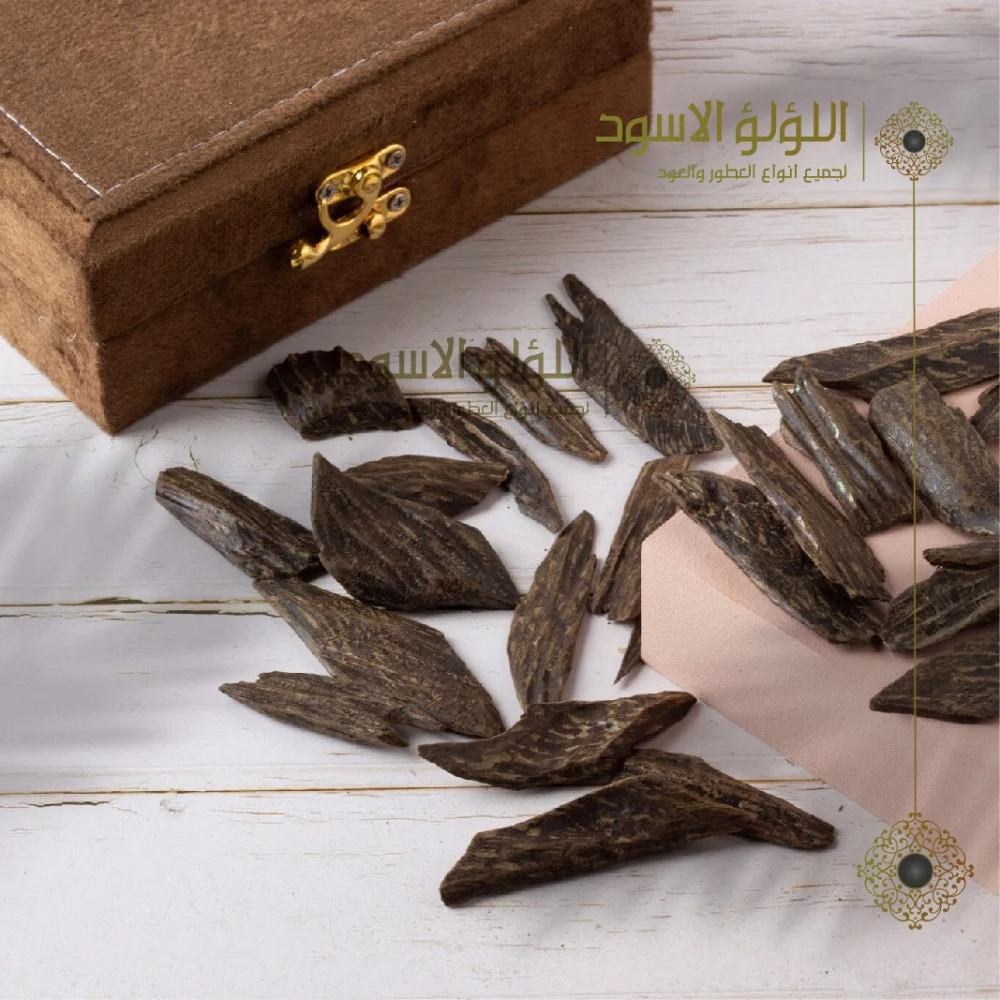 عود سومطرا: جوهرة الغابات الاستوائية