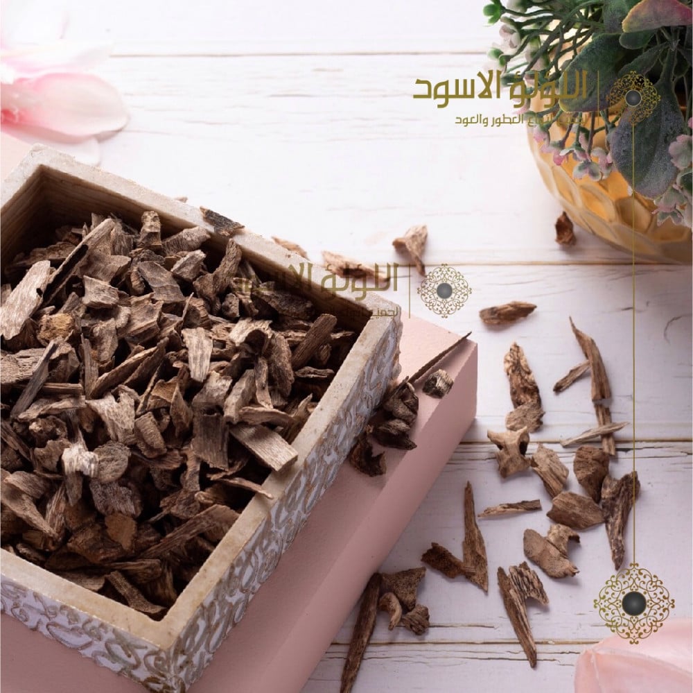 عود دقة فيتنامي