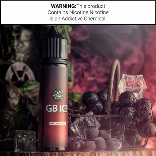 نكهة فيب جي بي ايس Joosy World GB ICE
