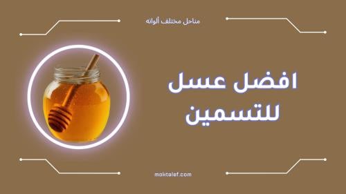 أفضل عسل للتسمين وزيادة الوزن بشكل طبيعي [2025]