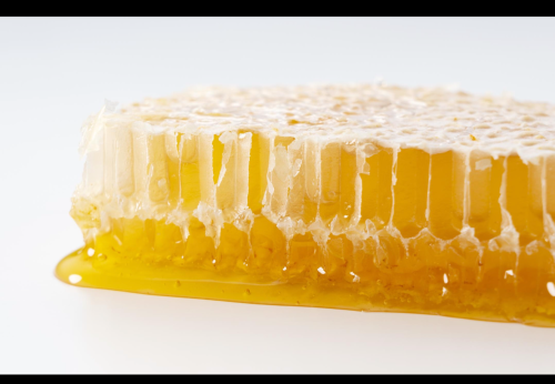 العسل الطبيعي: فوائده وأنواعه وكيف تعرف العسل الأصلي
