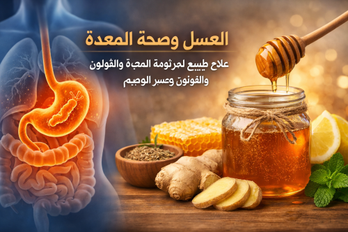 فوائد العسل للمعدة والجهاز الهضمي | علاج طبيعي لجرثومة المعدة والقولون وعسر الهضم