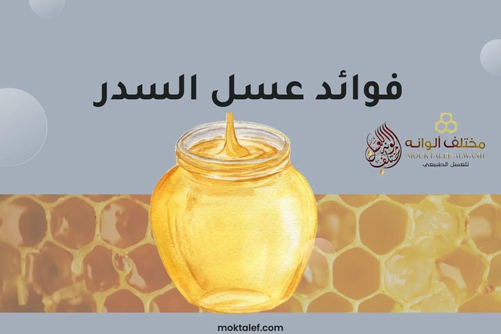 تعرف على 5 من فوائد عسل السدر الأصلي لصحة الجسم في السعودية