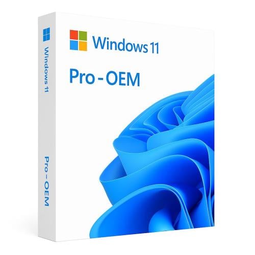 ويندوز 11 برو OEM