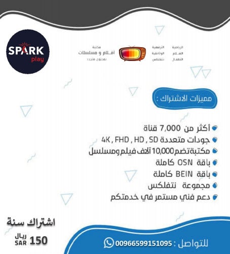 اشتراك سبارك بلاي 12 شهر