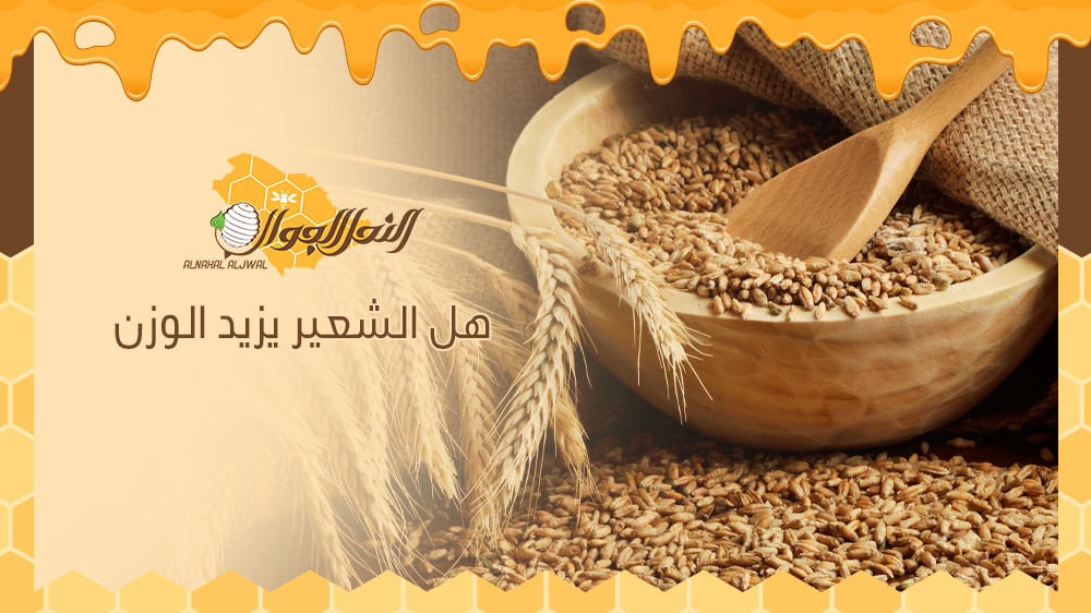 هل الشعير يزيد الوزن؟