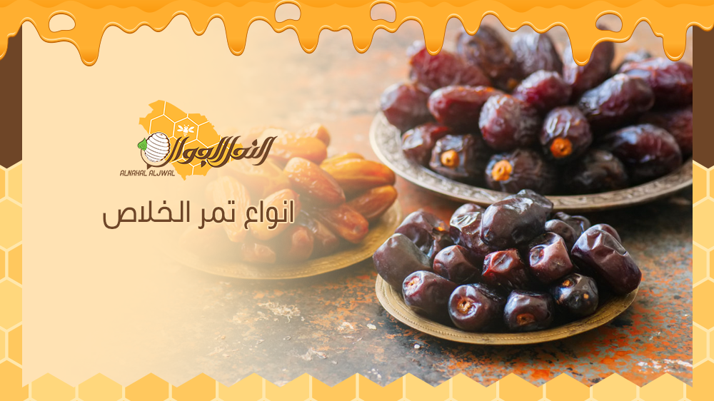 إليكم الآن قائمة أهم انواع تمر الخلاص