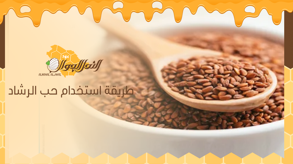 ما هو حب الرشاد وطريقة استخدام حب الرشاد؟