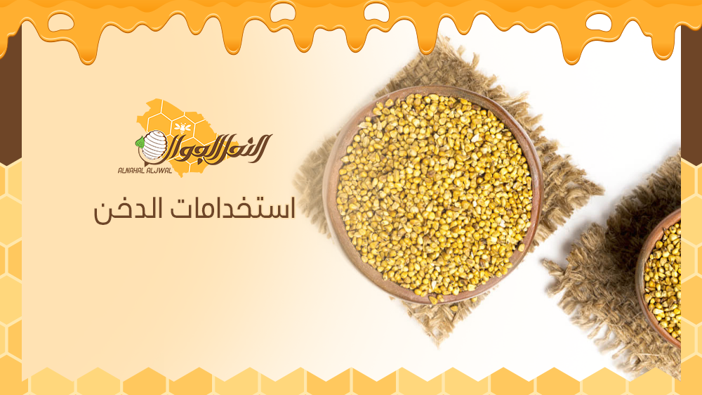 كل ما تريد معرفته عن استخدامات الدخن ومميزاته