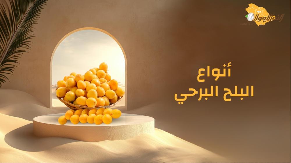 أنواع البلح البرحي