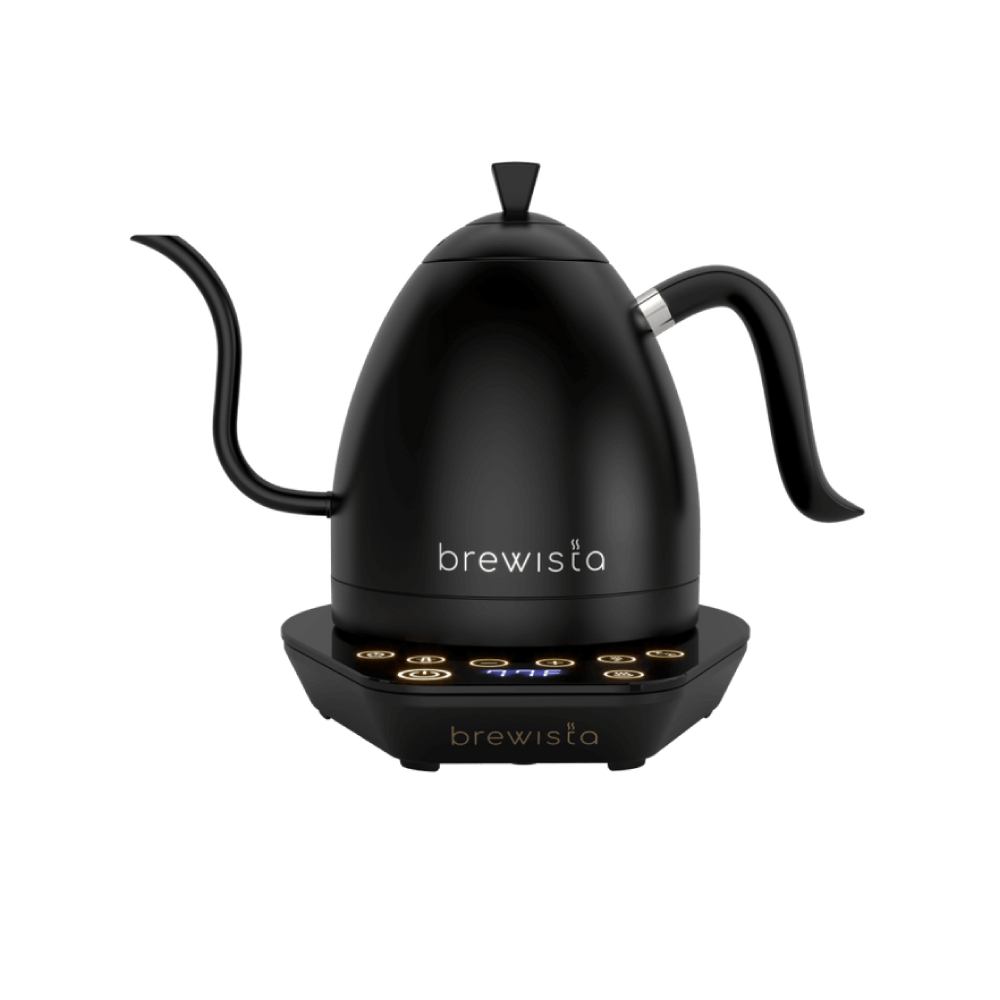غلاية برويستا أسود 0.6 لتر | Brewista Artisan Electric Gooseneck Kettle
