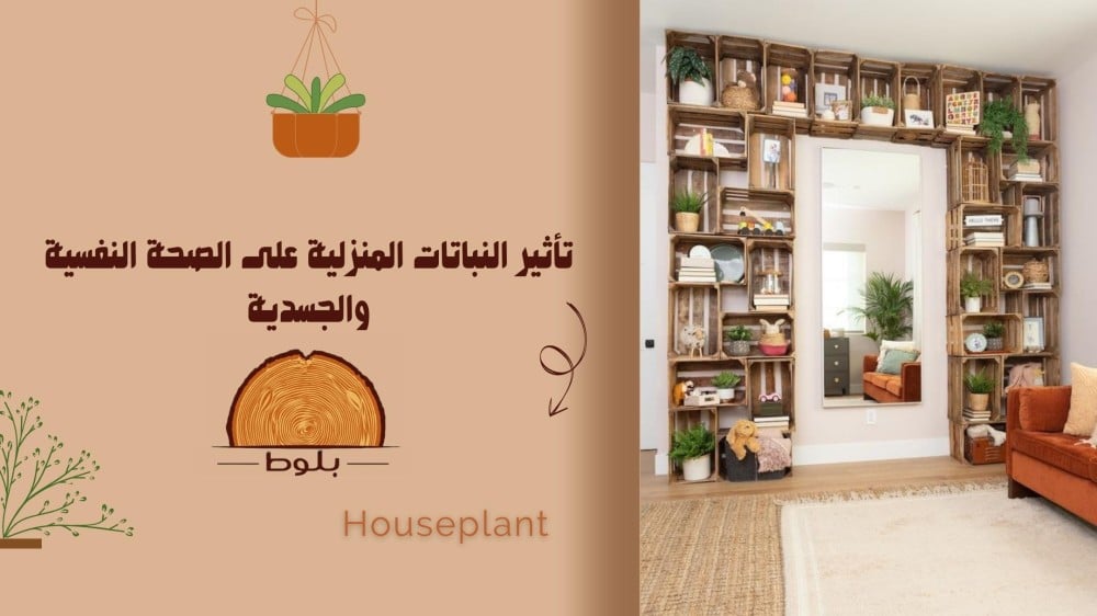 تأثير النباتات المنزلية على الصحة النفسية والجسدية