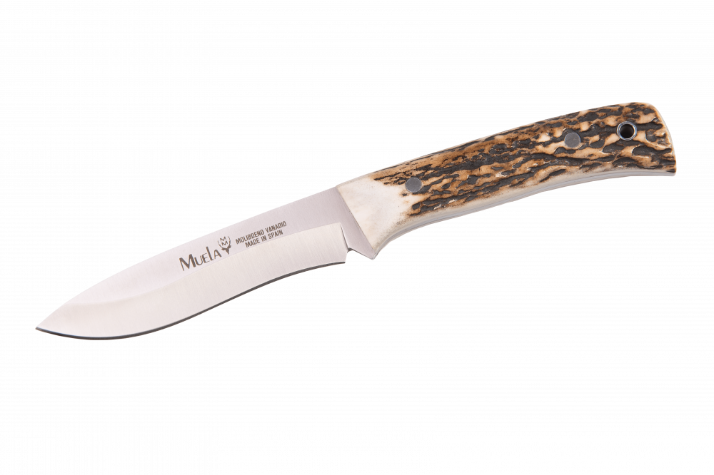 سكين نصل ثابت COCKER-11CO من شركة مويلا الاسبانية ( Muela) .