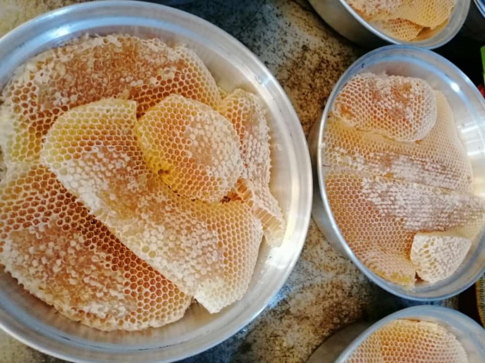 كيلو شمع سدر بلدي - مناحل الوادي لاجود انواع العسل البلدي