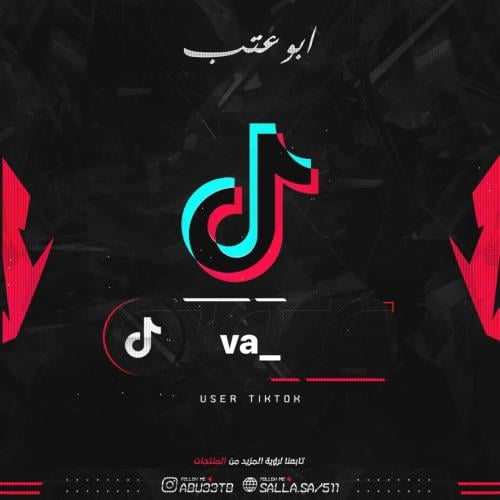 يوزر شبه ثنائي تيك توك