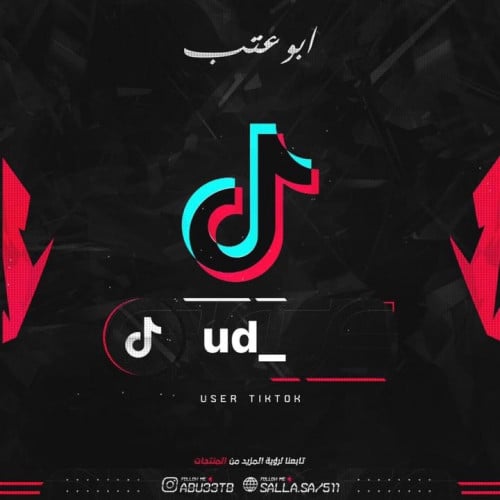 شبه ثنائي تيك توك