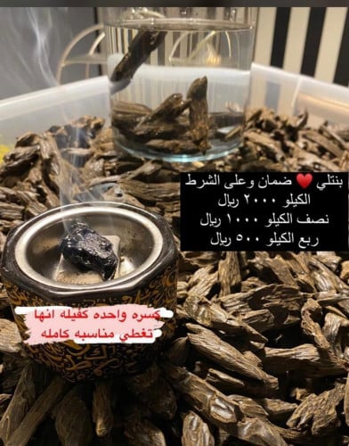 بانتلي الغطاس